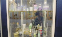 Prednáška o liečivých bylinkách vo vlastivednom múzeu pb - m_DSCN0691